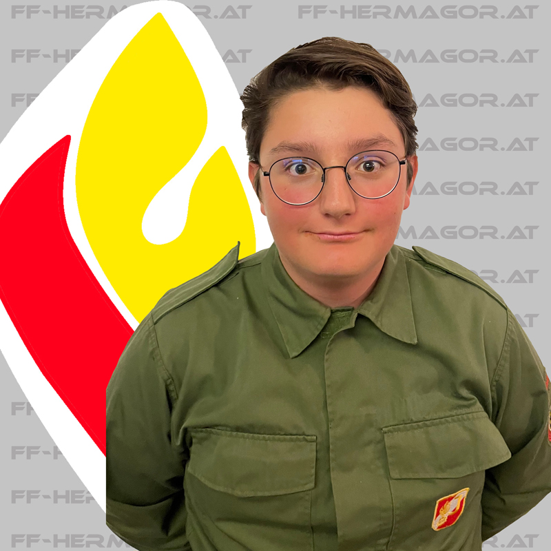 Herzog Marvin